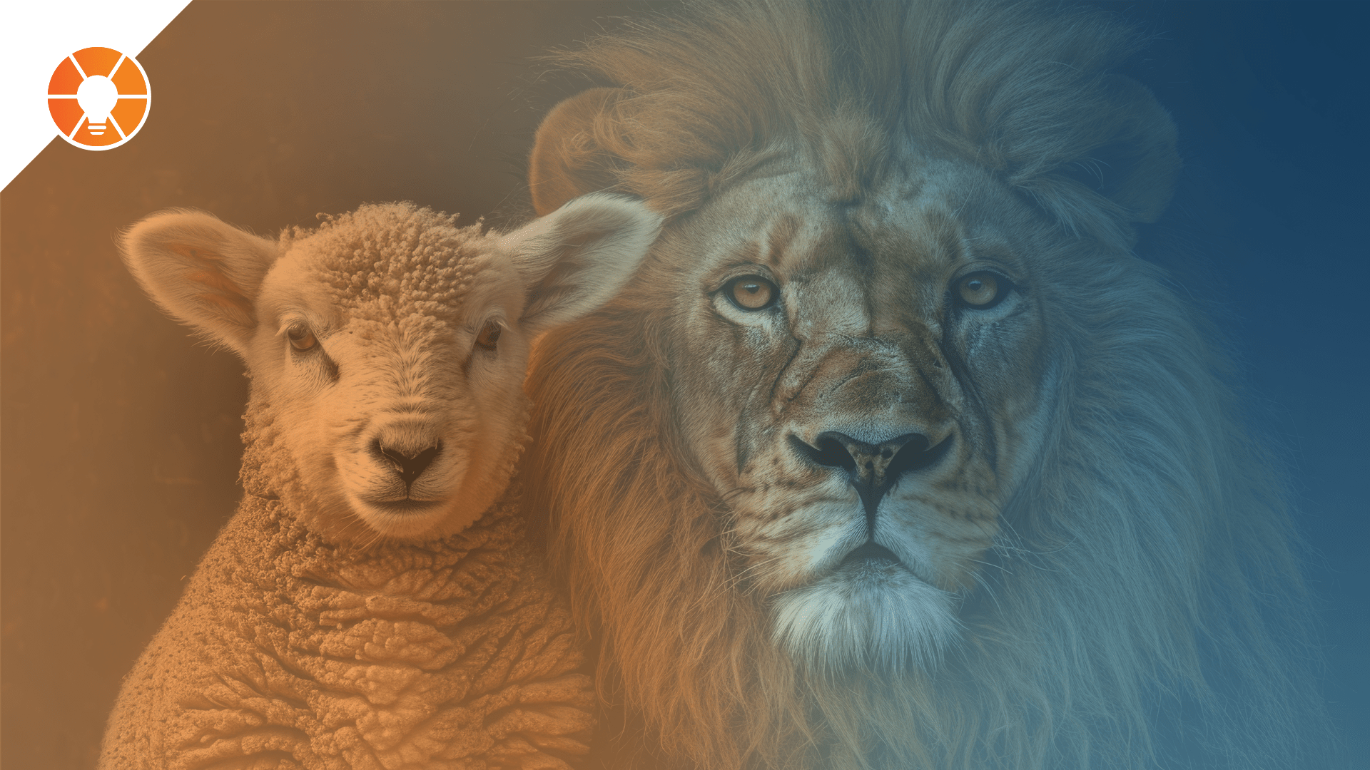 From Lion to Lamb & Back Again