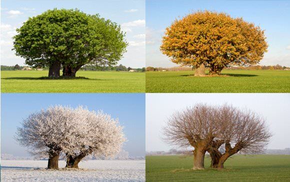 EOS-seasonal-580x365px