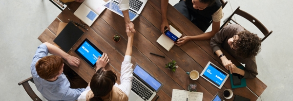small business consultant guide