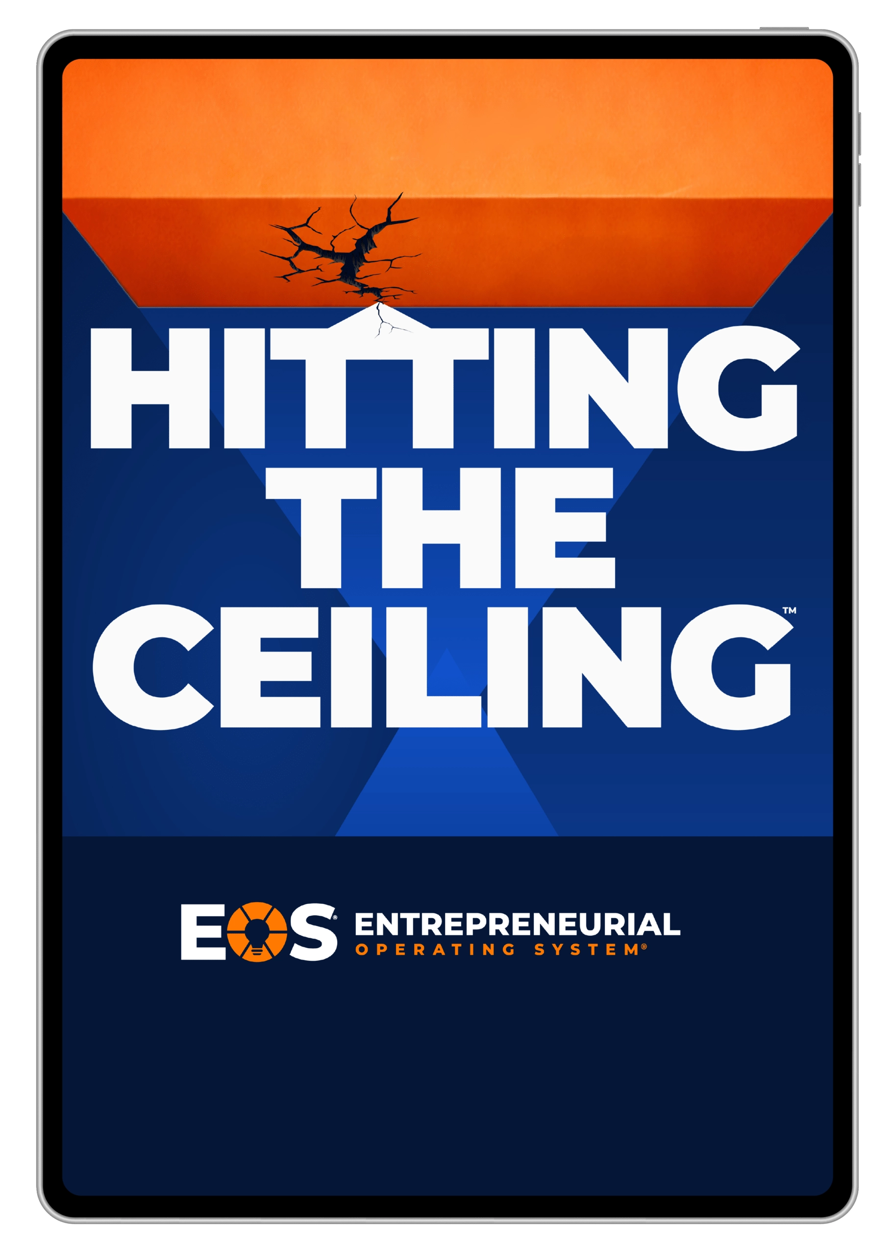 Hitting the Ceiling eBook on iPad