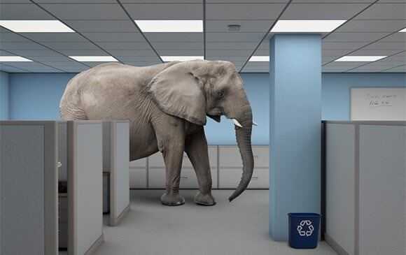 elephant-in-room