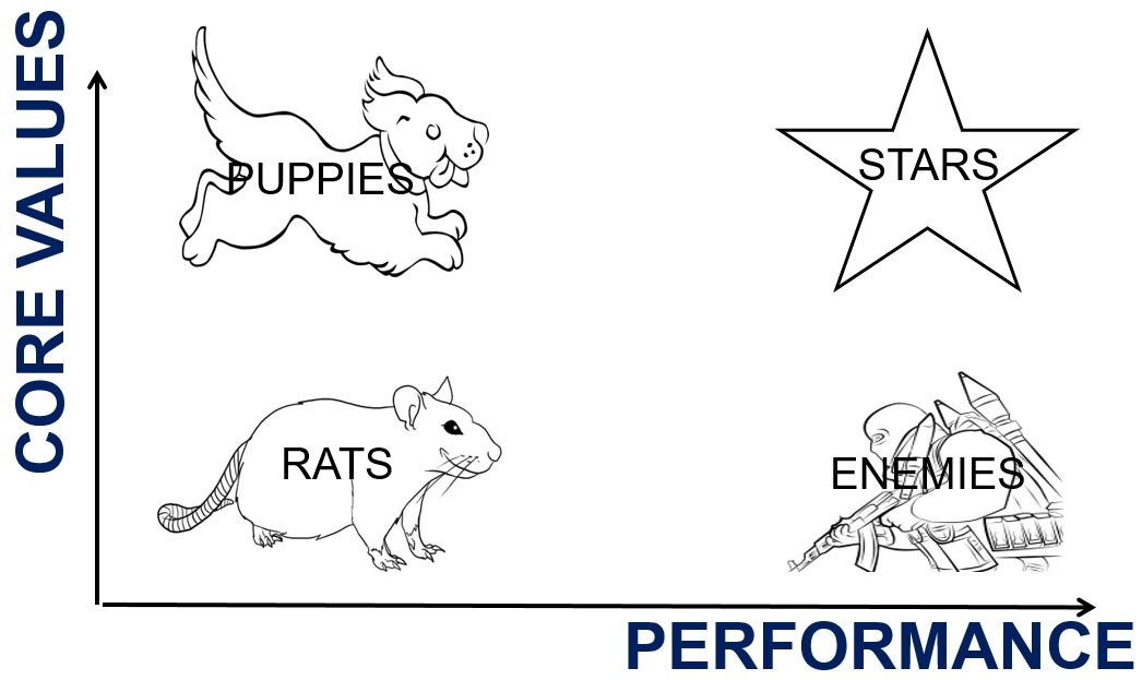 Diagram for evaluating the people you hire at your company: puppies, stars, rats, or enemies