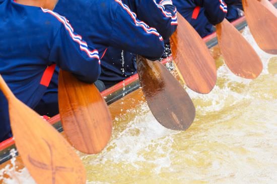 closeup of a rowing team with paddles in the water, representing your company values