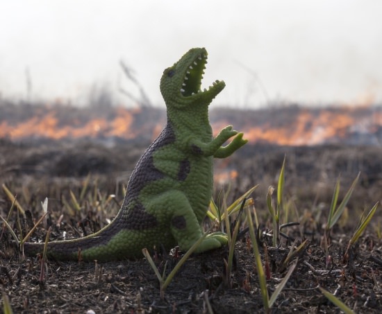 Plastic dinosaur on a barren field, representing how company meetings are like grow monsters