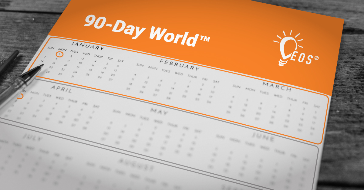 90 Day World