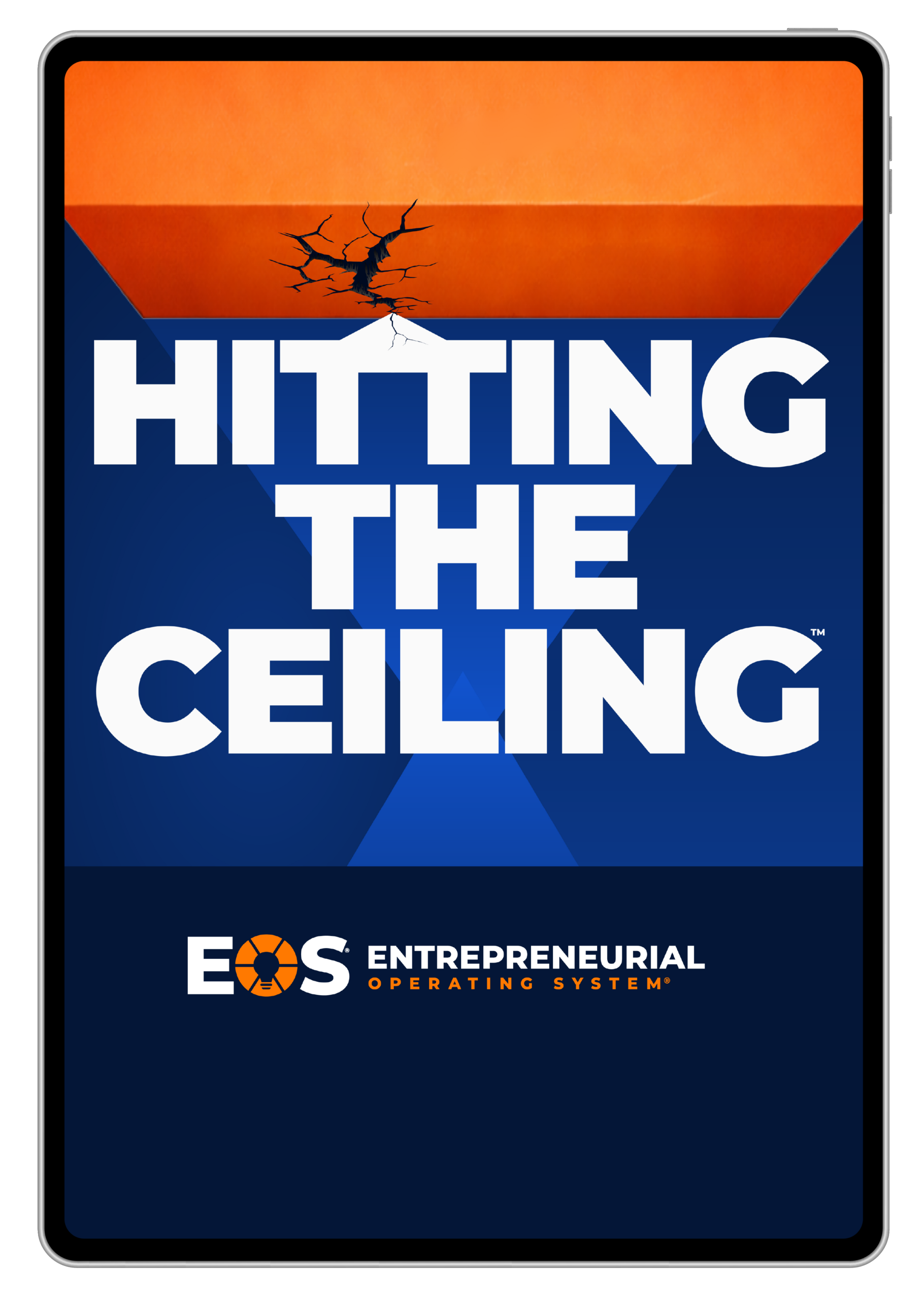Hitting the Ceiling eBook on iPad